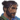 ハーバー